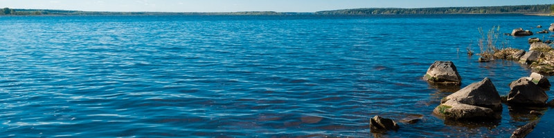 pexels-daniel-spase-2091351